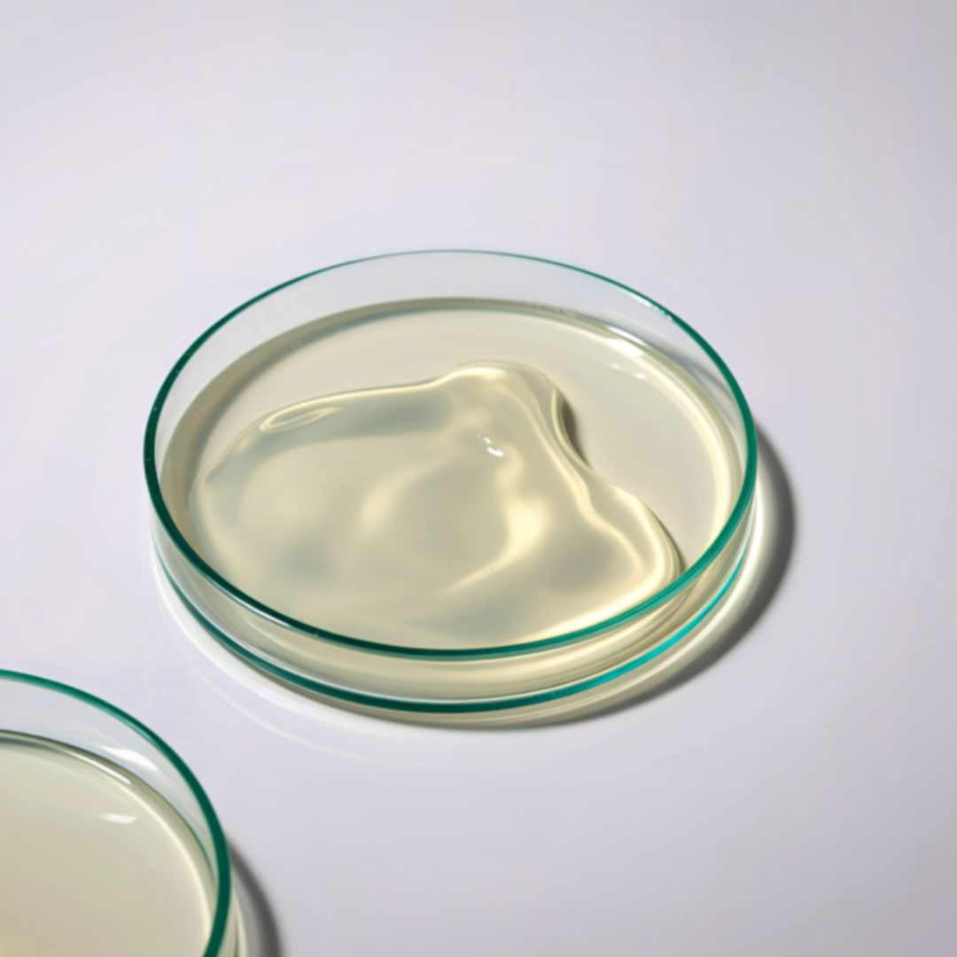 Zervixschleim-Probe in einer Petrischale im Labor – Symbolbild für wissenschaftliche Forschung zu Zervixschleim und vaginalem Mikrobiom.