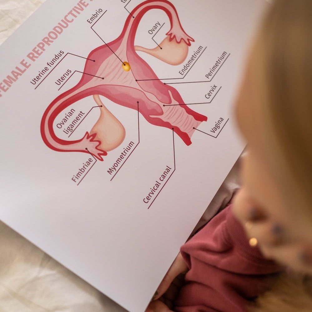 Endometriose: Symptome, Diagnose und Behandlung - KORA MIKINO