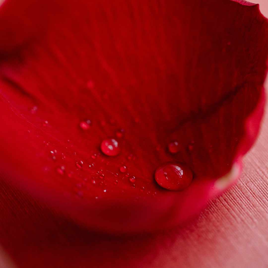 Perioden auslösen - geht das?